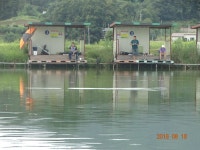 ***오빈낚시터*** 주말 조황정보 및 방류 소식 전합니다 : 낚시사랑