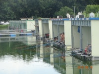 ***오빈낚시터*** 주말 조황정보 및 방류 소식 전합니다 : 낚시사랑