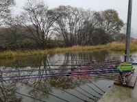 내곡낚시터조황 : 낚시사랑