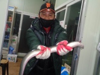 밤밭하우스 유료터정보 > 밤밭실내장어낚시터 : 낚시사랑