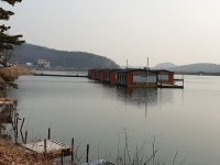 삼인낚시터 3월9일 개장합니다~~!!-용인삼인낚시터- : 낚시사랑