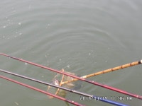 도곡낚시터 붕어 조황 정보 오늘은 대박이 예상 호호호 : 낚시사랑