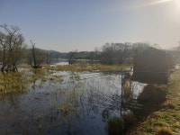 내곡지 조황정보 : 낚시사랑