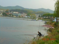   4월 25일 조황 정보  : 낚시사랑