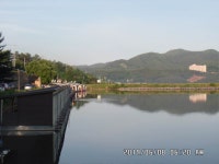 도곡낚시터 붕어 조황 정보 감사합니다 : 낚시사랑