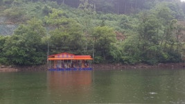 중리테마파크낚시터 6월 17일조황입니다. : 낚시사랑