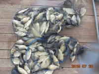 ****자리편차 없이 아주좋습니다**** : 낚시사랑