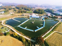 방류 소식과 밤낮 바뀐 입질 패턴 : 낚시사랑