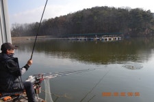 고담낚시터 유료터정보 > 개장날  붕어방류 와 조황입니다 . : 낚시사랑