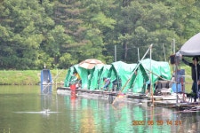 고담낚시터 유료터정보 > 붕어방류 와 주말조황입니다 . : 낚시사랑