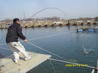 정성바다낚시터 실시간 조황정보 : 낚시사랑