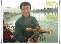  궁평바다실내낚시터 02월 26일(일) 조황입니다 - 괴우럭, 참돔, 농어. 랍스타100kg 주말 대량방류  : 낚시사랑