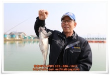 3/18  노지 조황사진입니다. : 낚시사랑