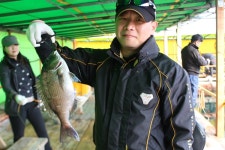 [남용호] 4월 25일 화요일 좌대조황 소식 : 낚시사랑