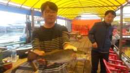 [★★★안면도 태안 낚시터 ★★★]  5월 01일 조황 : 낚시사랑