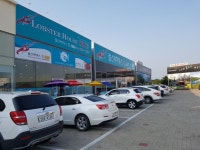 7kg대왕랍스터 방류 : 낚시사랑