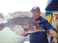 한국바다낚시터 04월 10일 (화요일) 조황 : 낚시사랑