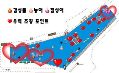 4월 20일(금) 조황 [능성어 축제] : 낚시사랑