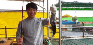  당진 아쿠아바다좌대 5월11일 조황   : 낚시사랑