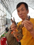 인천 [소래 노지바다낚시터], [소래랍스터하우스] 조황정보입니다. (하우스,노지 동시운영중) 문의: 010.5356.3939 : 낚시사랑