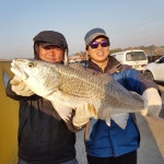  11월3일 토요일 주간조황사진입니다. : 낚시사랑