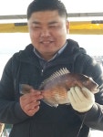 당진11월14일조황 : 낚시사랑
