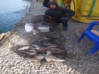 [스타바다좌대낚시터] 12월 7일 금요일 주간조황 및 야간조황 : 낚시사랑