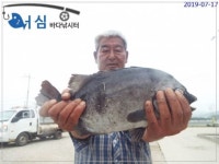 7월 16일(화) 조황 : 낚시사랑