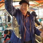  02월 15일 토요일 노지 및 실내낚시터 조황사진입니다. : 낚시사랑