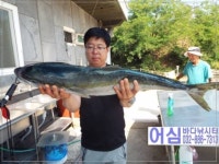  도비도와따 바다낚시조황 > 6월 23일 당진 도비도항 와따좌대!실시간조황!! : 낚시사랑