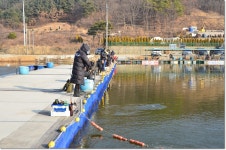 상덕낚시터-[상덕낚시터] 12월 3주차 이야기 - 용인 상덕 : 낚시사랑