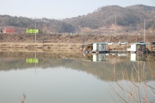 배수중에 나온월척붕어들 : 낚시사랑