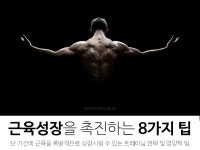근육성장을 촉진하는 8가지 팁 - 뽐뿌:건강/헬스 근육성장을 촉진하는 8가지 팁