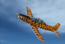  Catch A Tiger By Its Tail - USAF Tigermeet T-6A