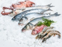 시중 유통 냉동수산물, 중량 위반 다수 적발 - 데일리 푸드앤메드 시중 유통 냉동수산물, 중량 위반 다수 적발
