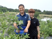 [톡톡톡]할 것 없으면 농사? 그랬다간 쫄딱 망해요 - 데일리 푸드앤메드 [톡톡톡]할 것 없으면 농사? 그랬다간 쫄딱 망해요
