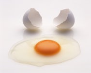 유정란과 무정란은 식별이 가능한가? - 데일리 푸드앤메드 유정란과 무정란은 식별이 가능한가?