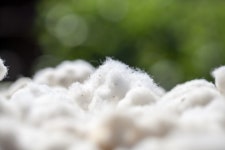 농촌진흥청, 바이오신소재 ‘형광실크’ 개발 - 데일리 푸드앤메드 농촌진흥청, 바이오신소재 ‘형광실크’ 개발