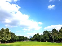 도시 숲과 함께 미세먼지 없는 푸른 하늘 만들어요 - 데일리 푸드앤메드 도시 숲과 함께 미세먼지 없는 푸른 하늘 만들어요