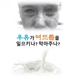 우유가 여드름을 일으키나? 막아주나? - 데일리 푸드앤메드 우유가 여드름을 일으키나? 막아주나?