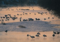 데일리 푸드앤메드 FOOD&MED