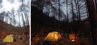 산림청 				 >  휴양복지 > 산림문화 > 산림여가 > 			