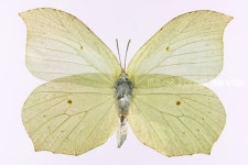 산림청 					 >  휴양·문화·복지 >  산림휴양				 : 전체