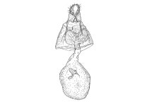 산림청 					 >  휴양·문화·복지 >  산림휴양				 : 일반검색