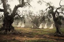 372-peupledepassage-3 – Fubiz Media 372-peupledepassage-3