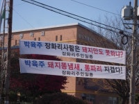 자유게시판-장화리 산돌농장 돈사의 악취  내용 | 강화군청>군민참여