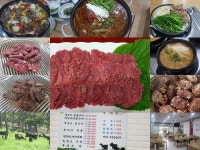 송백흑염소 - 강진군청 송백흑염소