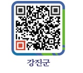샤넬 - 강진군청 샤넬