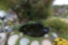 운경민박 - 강진군청 운경민박