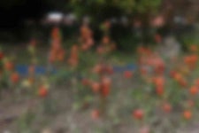 운경민박 - 강진군청 운경민박